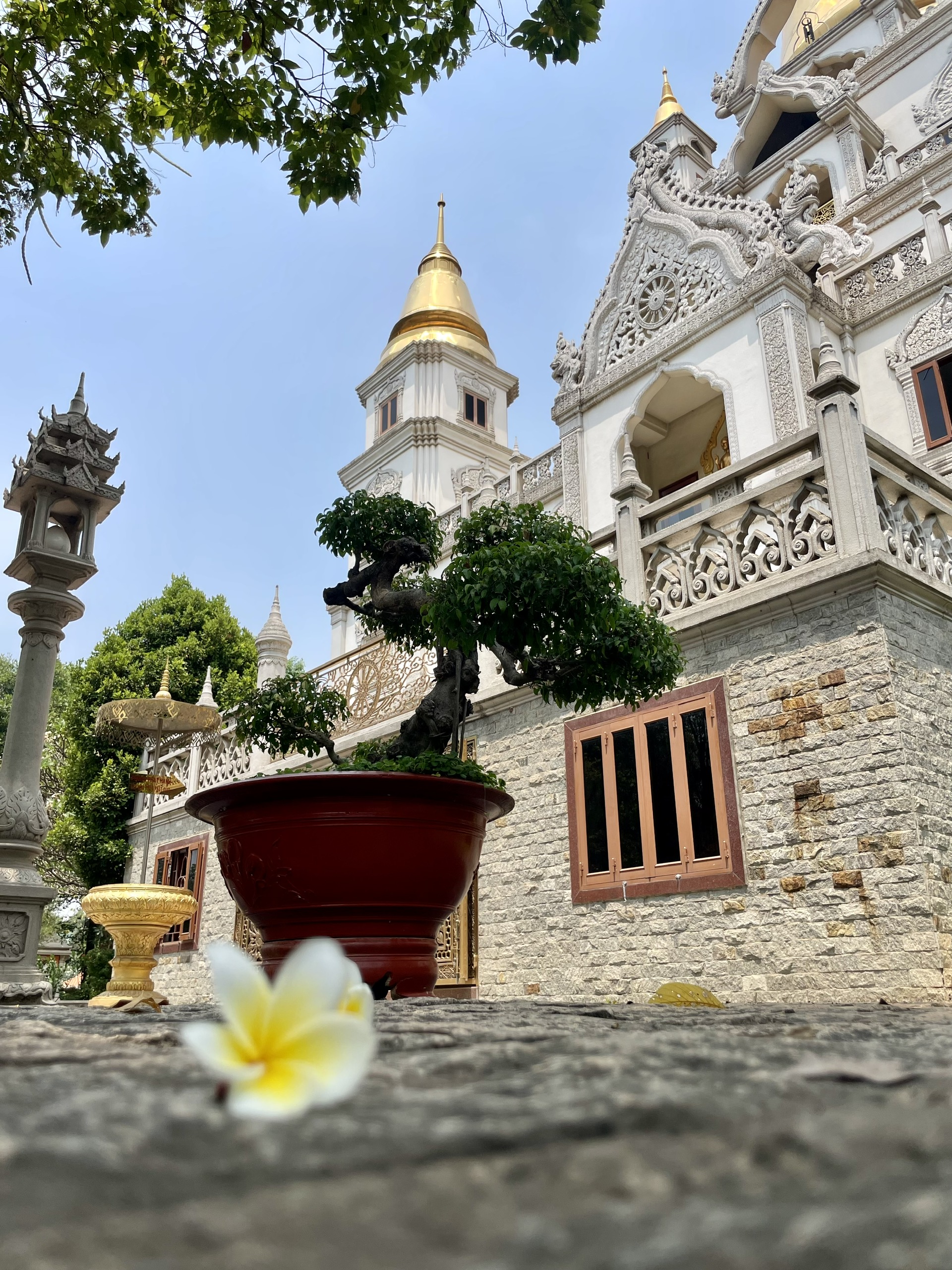 🌿 Every Step a Breath – Every Corner a Living Portrait